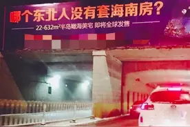 “东北第四省”海南：数以万计的东北人安家背后，藏着什么秘密？图片