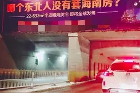 “东北第四省”海南：数以万计的东北人安家背后，藏着什么秘密？图片