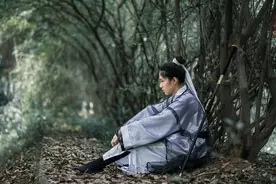 少年不懂柳永这首《少年游》的悲瑟，读懂已非少年人，开篇便惊艳图片