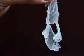 粤菜“云”聚 | 舌尖上的西江鱼生，一口难忘！图片