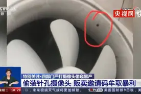 拼多多商家卖“偷拍摄像头”？手机在线看直播，还能私人订制……图片