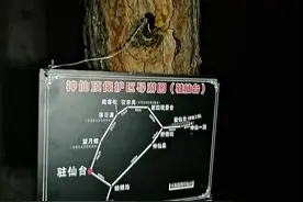 旅行中的小意外让我学会了坚持图片