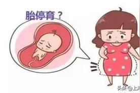 胚胎好好的就停止了发育？做试管婴儿你需要知道这4点！图片