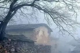 外亲拾忆——小姨篇图片