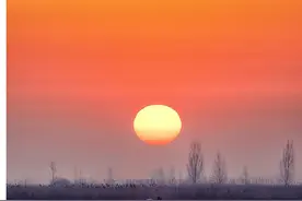 “梦里水乡”白洋淀！赏荷，划船、捡鸭蛋、看鱼鹰捕鱼，体验悠闲的水乡生活！图片