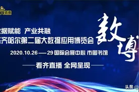 齐齐哈尔：数据赋能 产业共融图片