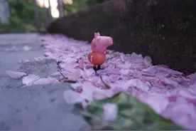 特别搞笑的事情图片
