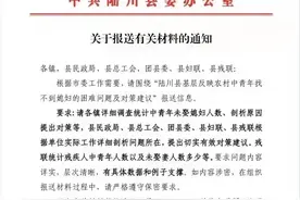 广西陆川：统计各乡镇未娶媳妇中青年人口数量图片
