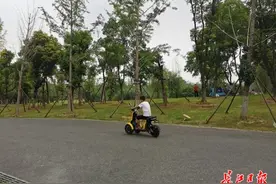 逛东湖绿道可骑电动车了，走固定路线，最高时速10公里图片