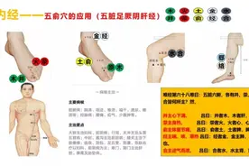 五输穴的位置及应用图片