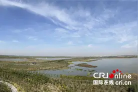 走进绿屏·八里湾 感受天津生态之美图片