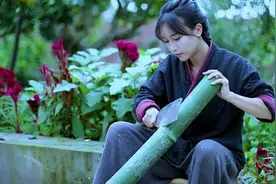 谁来牵线，为俞敏洪和李子柒安排一场对谈图片