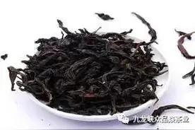 武夷岩茶—神秘的武夷雀舌图片