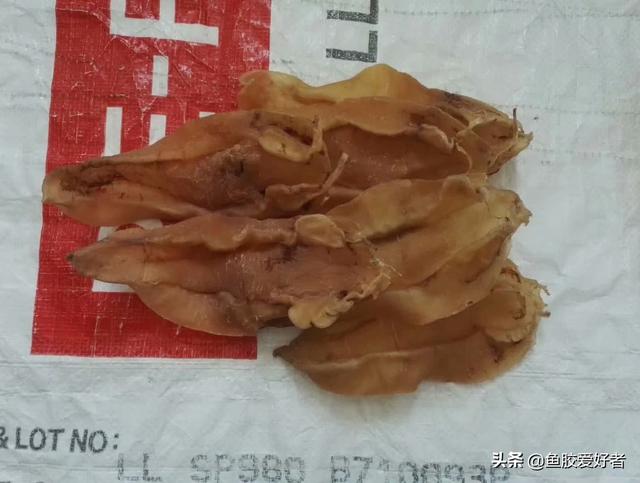 苏里南鱼胶母鱼胶怎么样 2026年苏里南鱼胶好不好