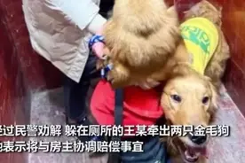租的房子到期了，需要把房间恢复原样吗？图片