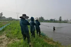 河南一高校学生期末考“撒网捕鱼”火了！水产养殖专业人才缺口大，就业后年薪可达15万图片
