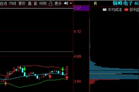 题材股是什么+涨停抢板技巧图片