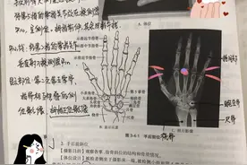 叫板#随堂笔记VS实验报告图片