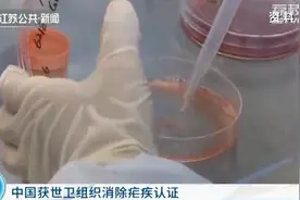 江苏已连续10年未发生本地疟疾感染图片