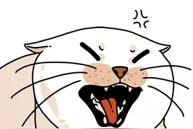 猫咪外伤在家如何处置？—《众爱卿宠物知识大讲堂》图片