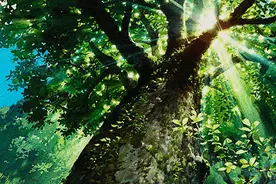 北京这个低调神秘的大公园终于开放了！免费人少、鸟语花香，现实版的世外桃源！图片