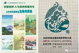 保护生物多样性——生态文明背景下国土空间规划的逻辑基础图片