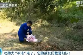 泪别战友！南京去世功勋搜救犬“冰洁”悼念仪式上 它的训导员哭了图片