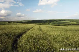照片太暗怎么办？教你用PS三步提亮照片图片