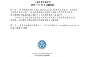 11月16日起实施！泰官方发布外籍旅客赴泰详细流程图片