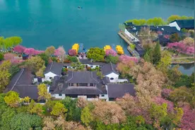 江苏南京莫愁湖海棠盛开 花红柳绿春意盎然图片