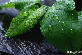 雨后芬芳的味道是怎么来的？快进来看看图片