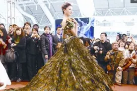 中国制造：2900根孔雀毛编成天价婚纱，价值150万美元，惊艳世界图片