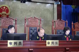 刑庭女法官的剑胆琴心图片