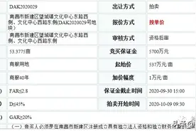 新建区乐化镇550亩商住用地上线，欣悦湖推出一宗商服用地图片
