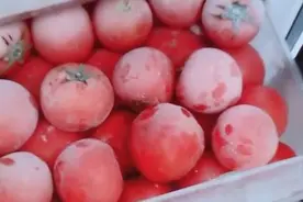 青岛网友：闺蜜家的冰箱，冻满了西红柿，恨不得连冰箱都搬走图片