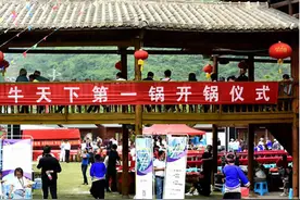 云南大叔养牛13年，靠特色品种年入5000万，带领2万多名村民致富图片