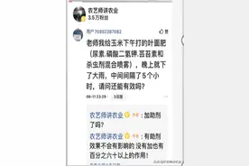 答粉丝问：雨季打药怎么提高药效不怕雨淋？「农艺师讲农业技术」图片