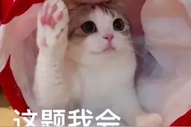 大学加入学生会，值不值？图片