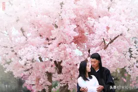 《三生三世十里桃花》桃花还是十里，这夜华，难道转世跑错地了图片