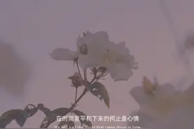 日落尤其温柔，人间皆是浪漫图片