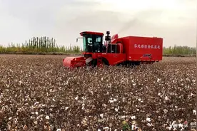 基层发现丨落地棉捡拾收获机来了图片
