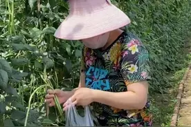 世界冠军邓亚萍太节俭，穿不到20元的鞋，还用塑料洗脸盆盛菜图片