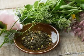 8种可以入药的植物，养眼又养生，家里盆栽就能养图片