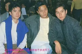 癫王蔡枫华与张国荣的二三事图片