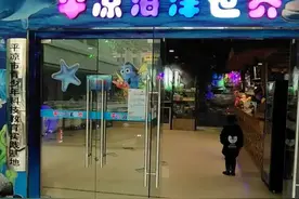 美爆了！咱平凉·海洋世界12月12日盛装开放了！电子门票无限送！送！送！图片