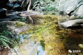 「十堰」热化了？张湾这些避暑地藏不住了，邀您免费来打卡图片