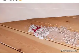 神评爆笑合集：刚在婚床下发现两个压碎的瓷娃娃，有什么说法么？图片