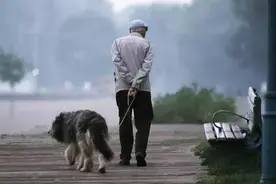 养狗能提高免疫力？狗狗带来的10个好处，能显著提升幸福感图片