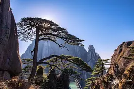 黄山与三清山对比谁胜出？图片