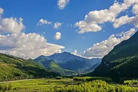 生物多样性保护|这片绿洲 又一次成为珍稀动植物的避难所图片
